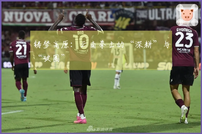 铸梦高原：云南拳击的“深耕”与“破圈”