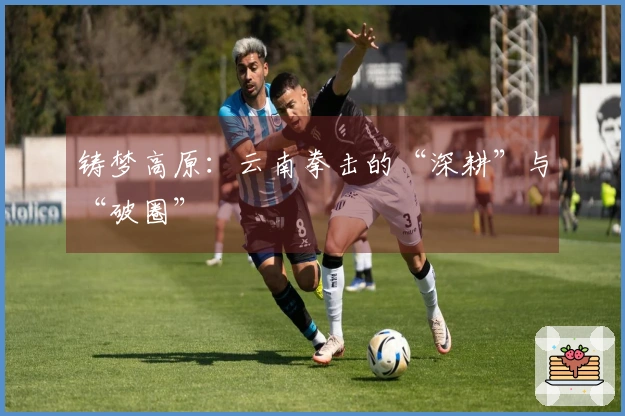 铸梦高原：云南拳击的“深耕”与“破圈”